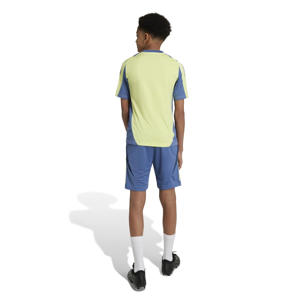 ADIDAS AJAX TRAINING 20242025 NIñO SHORTS